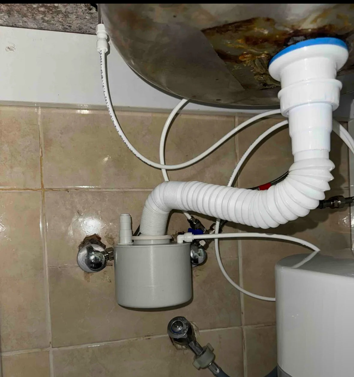 Koku Yapmaz, Sulu veya Susuz Çoklu Bağlantı”Mutfak Sifonu